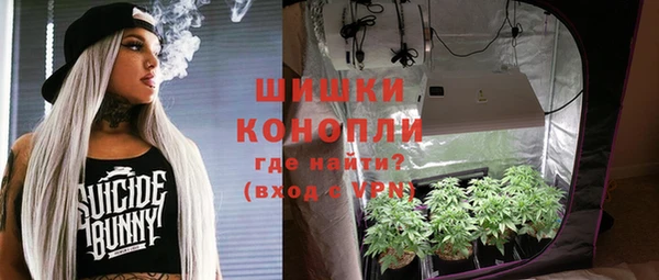 амф Белоозёрский